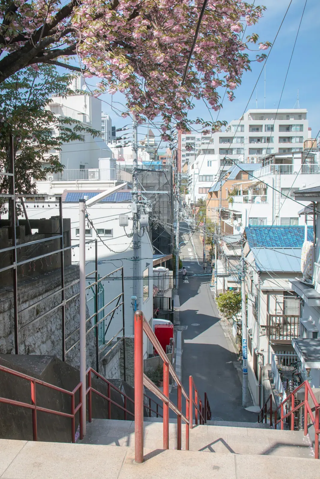 A narrow Tokyo street under cherry blossoms